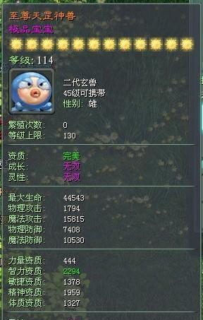 《征途手游宠物装备搭配攻略》（打造最强宠物团队，称霸征途世界！）