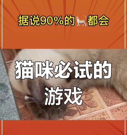 《掌握猫咪手游攻略的必备技巧》（打造无敌猫咪团队，成为顶尖玩家！）