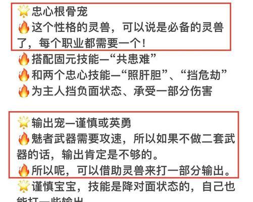 倩女幽魂魅者出装攻略（精准输出与灵活机动，打造最强魅者装备）