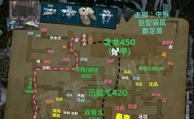方舟攻略生存进化（探索无尽世界，建立属于你的方舟王国！）