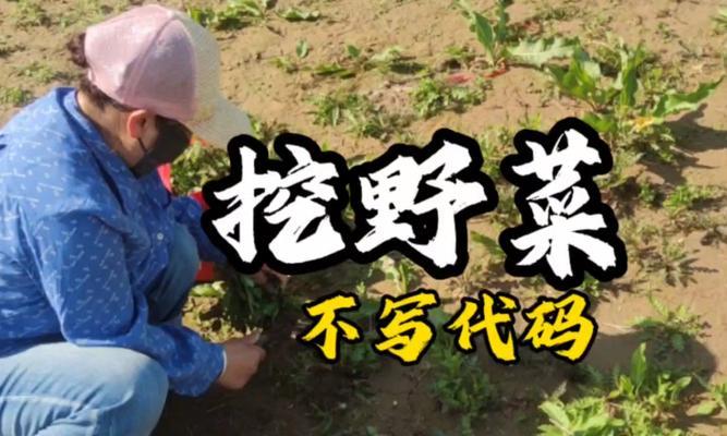 零元生存挑战攻略（生活丰富多彩，幸福不止于金钱）